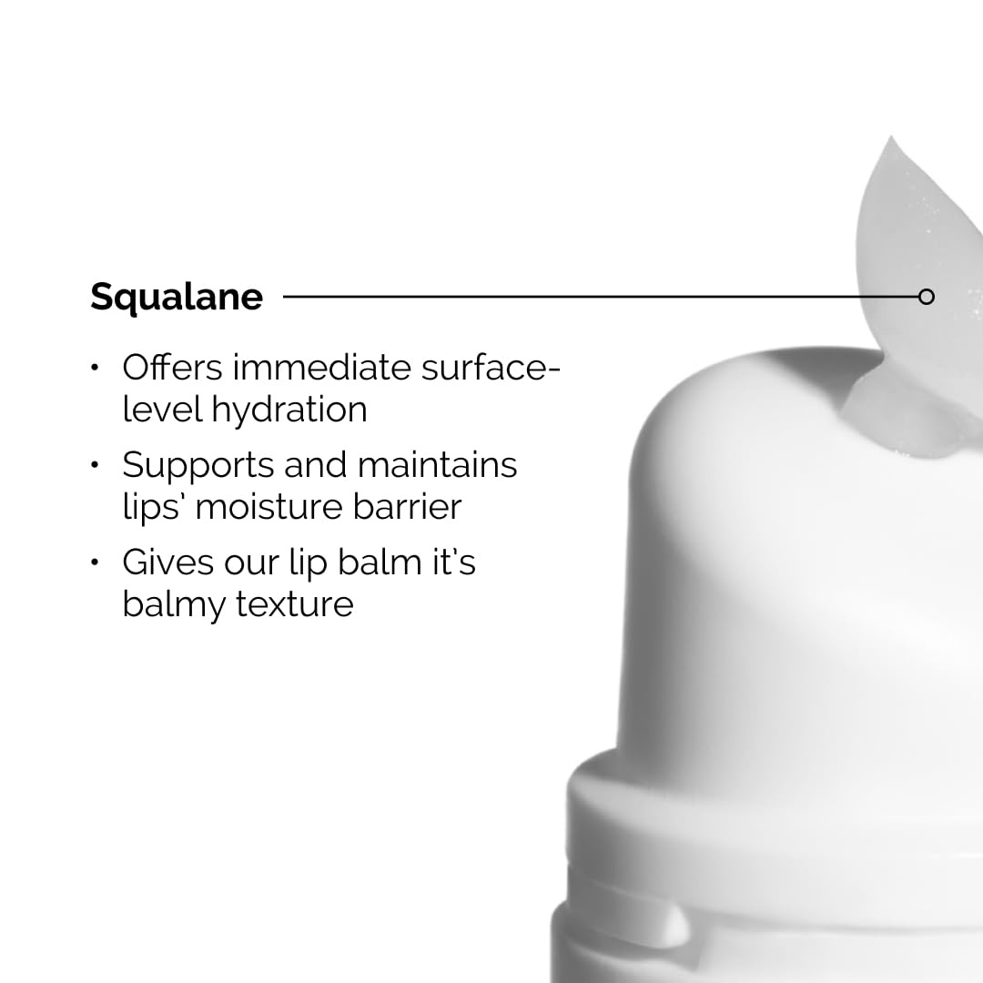 image:imageThe Ordinary Lip Care Duo Skin Care Bundle Set PHA 5 Exfoliating Lip Serum 05 Fl Oz Squalane and Amino Acids Lip Balm