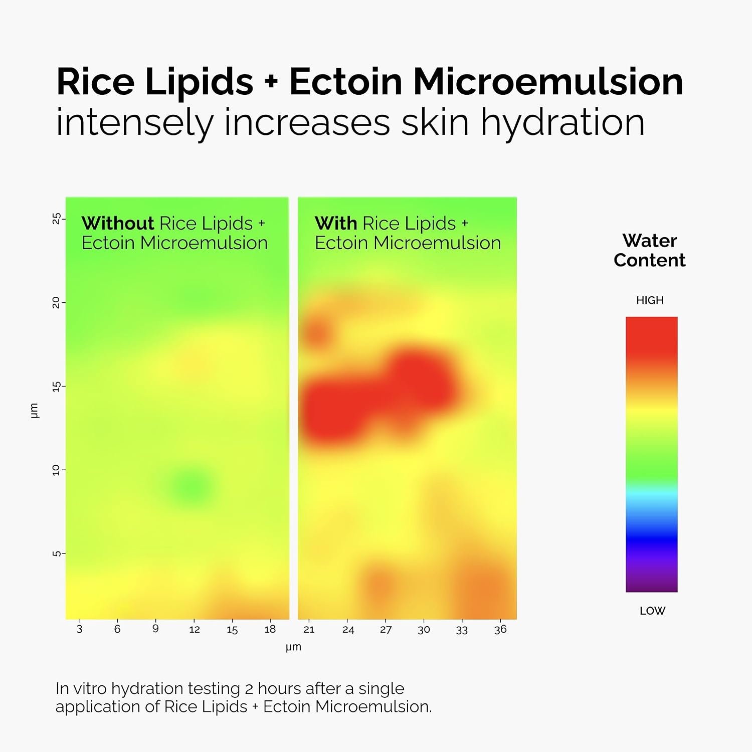 image:imageThe Ordinary Rice Lipids Ectoin Microemulsion Moisturizer for Dry Skin Soothing Hydration Barrier Repair Reduced Redness2 Fl Oz Pack of 1